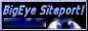 BigEye Siteport!